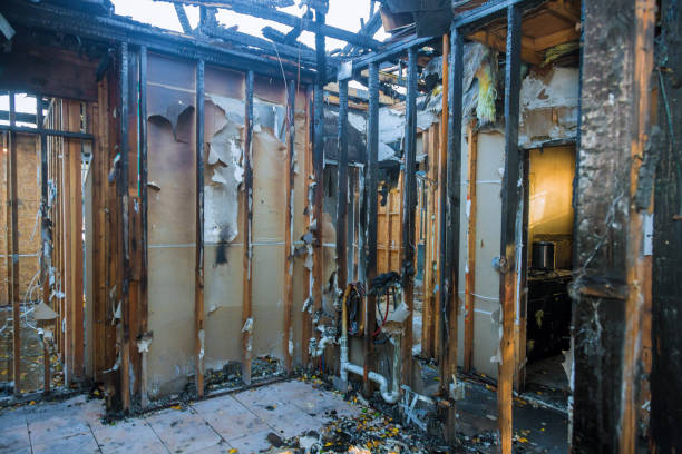 Professional Smoke Damage Removal technician working in Medina, WA
