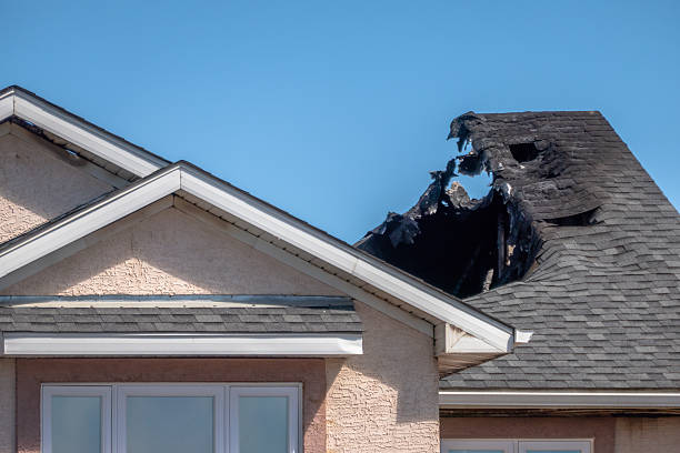 Top rated local Smoke Damage Removal specialists in Medina, WA